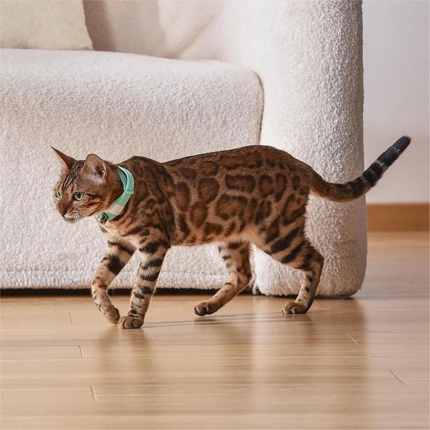 Rechargeable Cat Laser Toy - Red