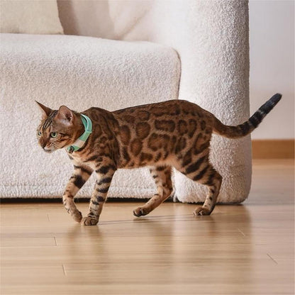 Rechargeable Cat Laser Toy - Red