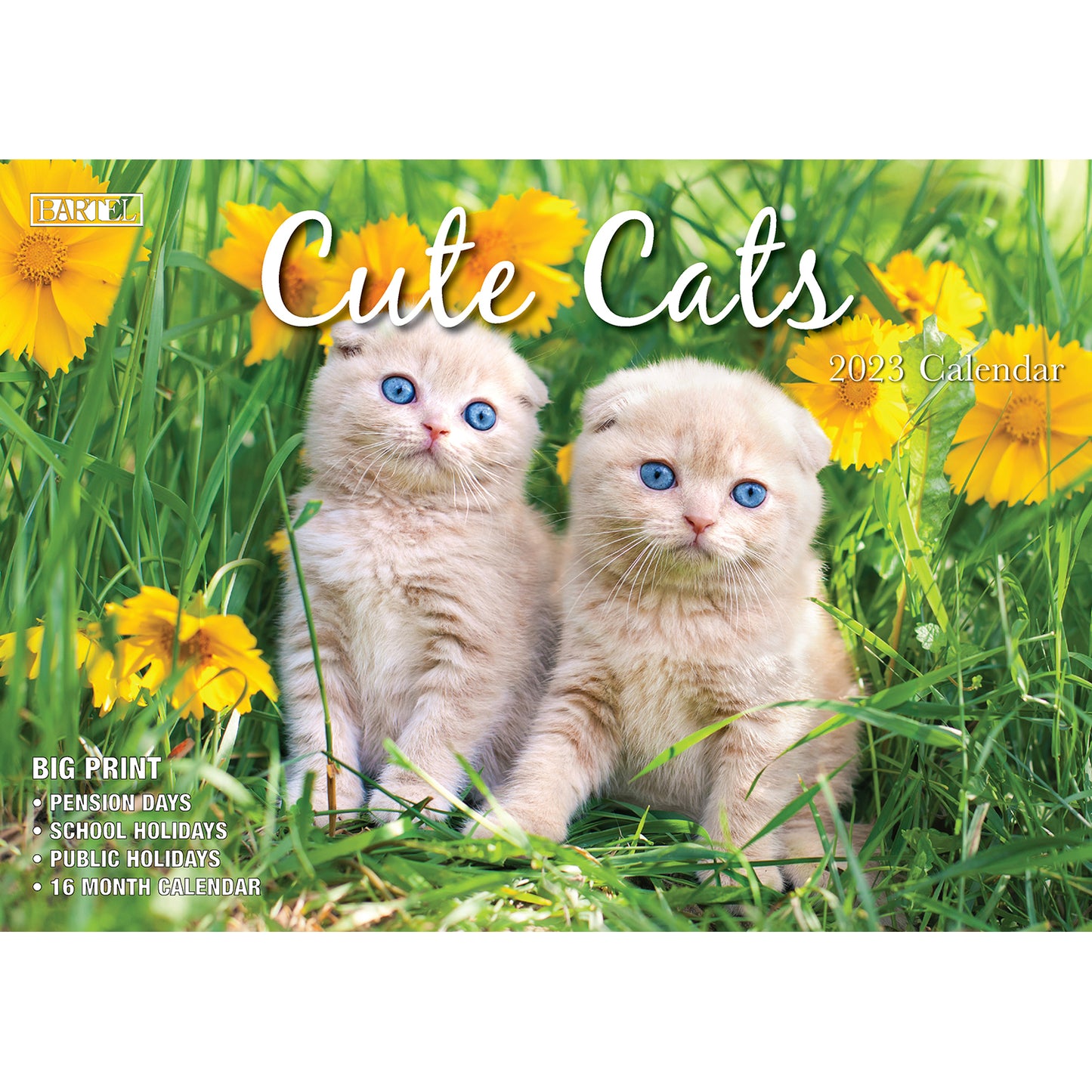 Cat Photo Wall Calendar