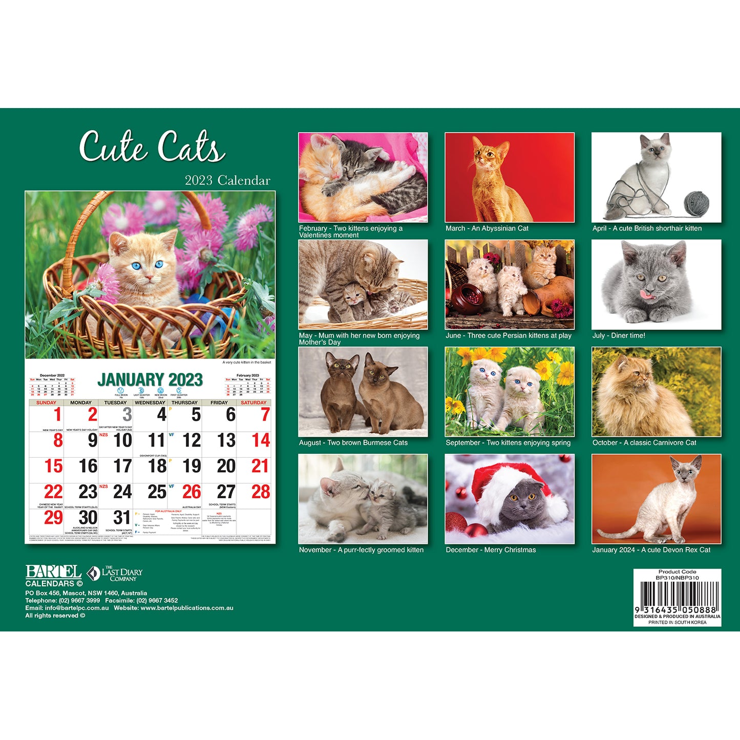 Cat Photo Wall Calendar