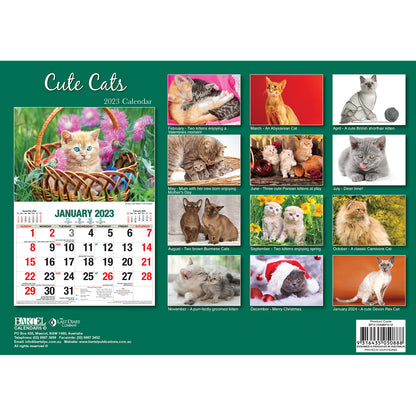 Cat Photo Wall Calendar