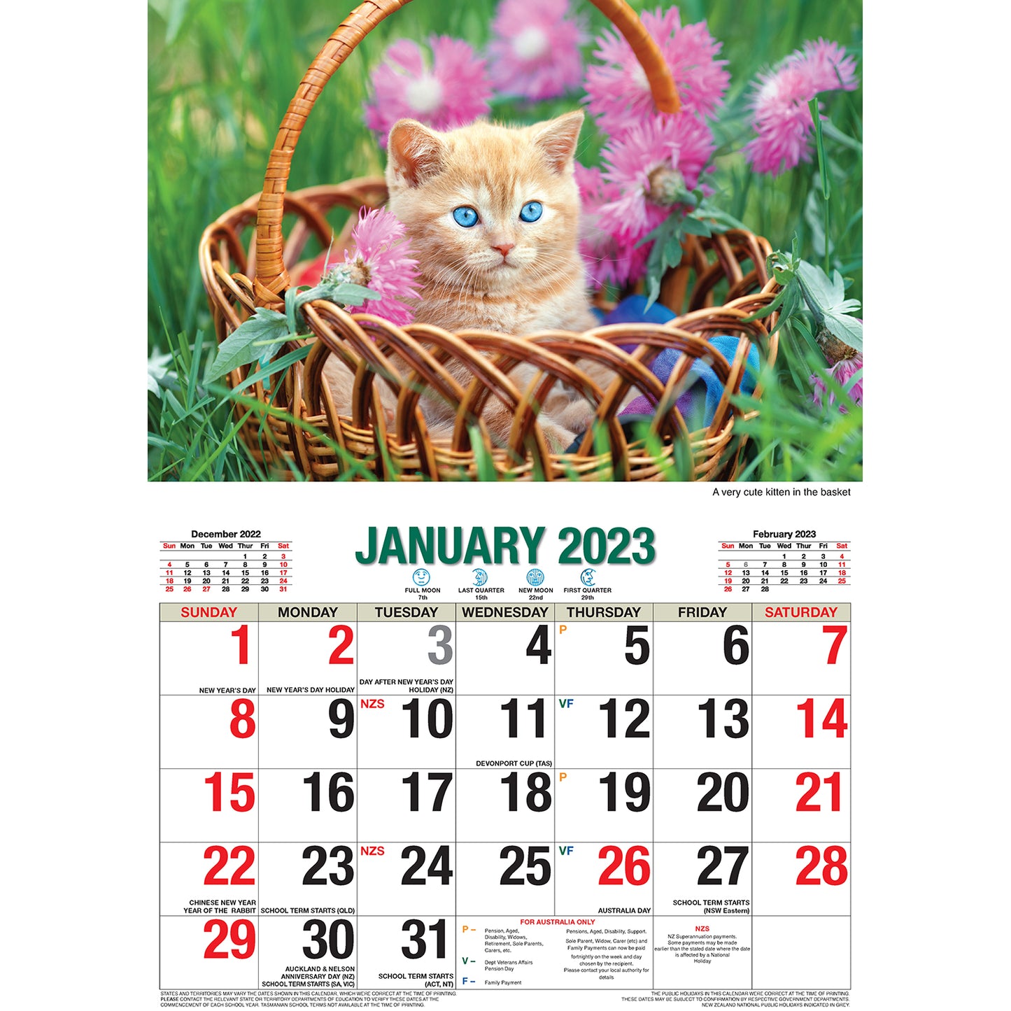 Cat Photo Wall Calendar