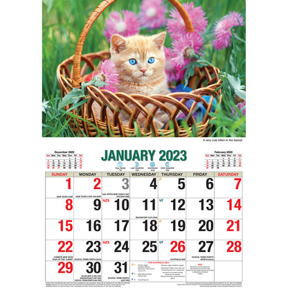 Cat Photo Wall Calendar