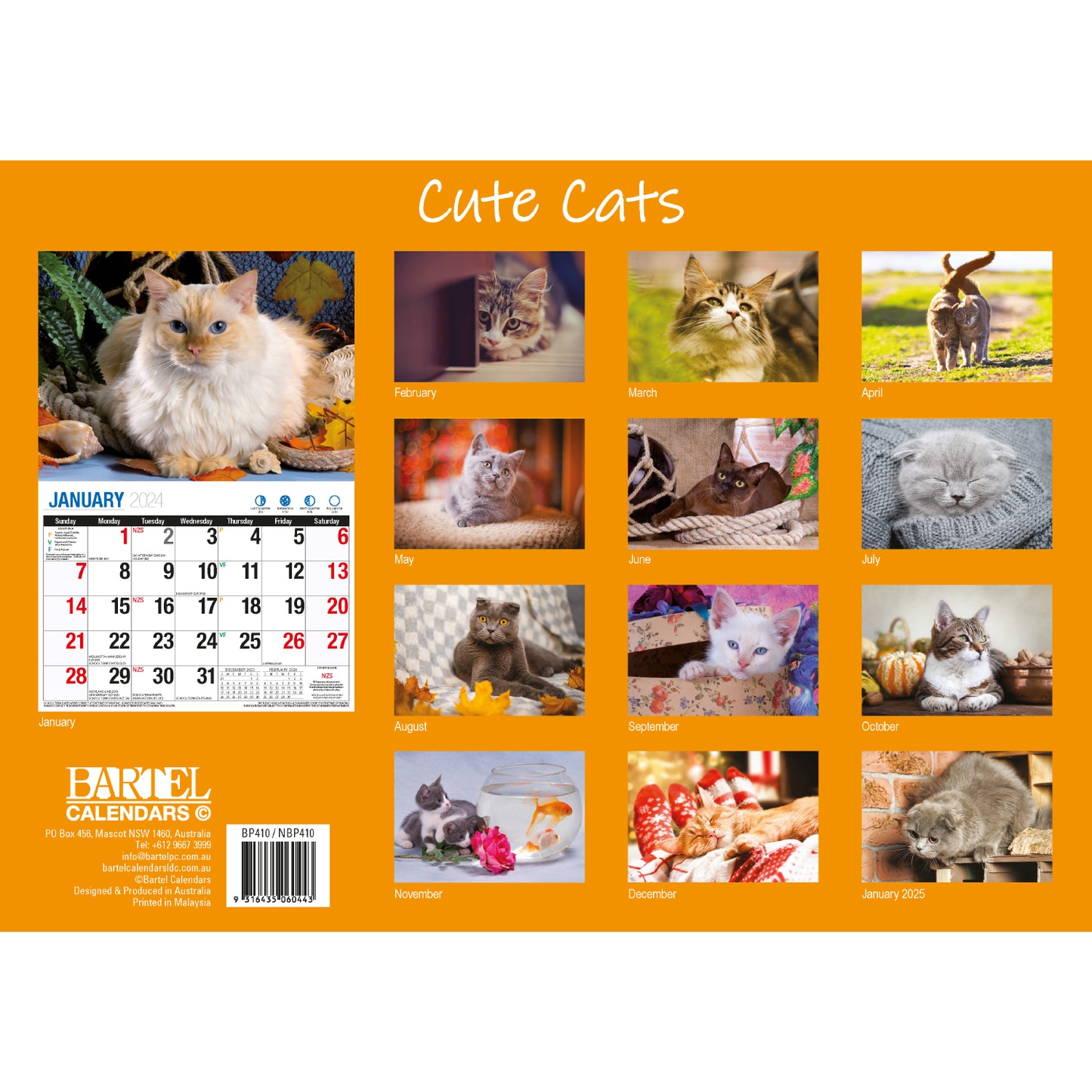 Cat Photo Wall Calendar