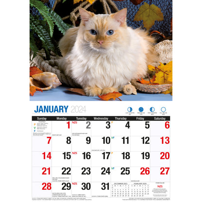 Cat Photo Wall Calendar