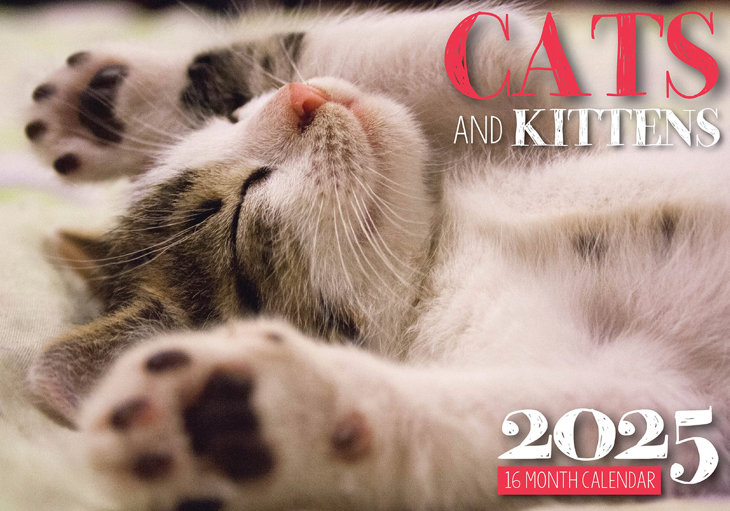 Cat Photo Wall Calendar