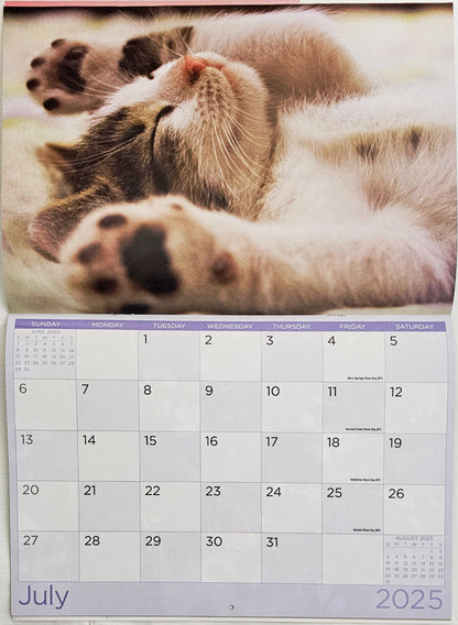 Cat Photo Wall Calendar