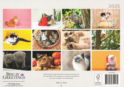Cat Photo Wall Calendar