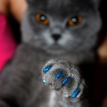 Cat Paw Covers - 100 Pack