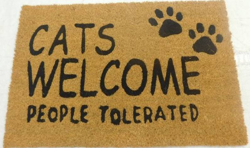 Cats Welcome Doormat - 60×40cm