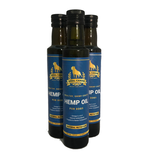 Hemp Oil for Dogs